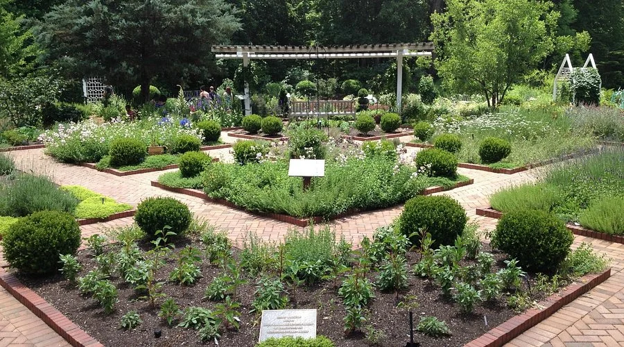 Garden of Georgia